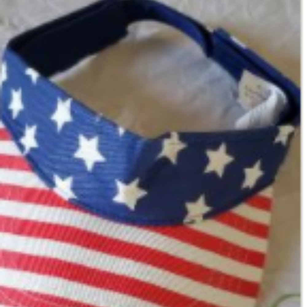 Red, White and Blue visor